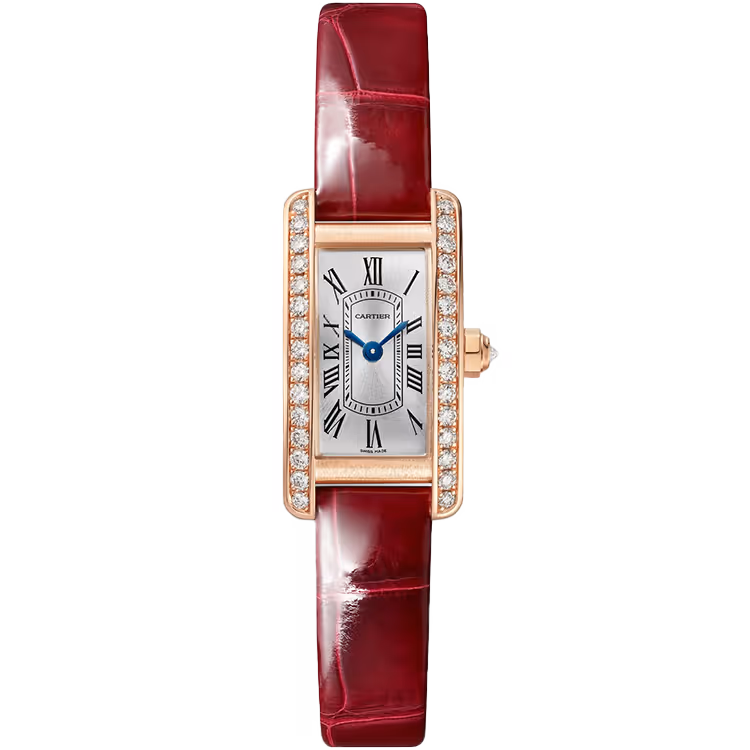 Cartier Tank Silver Dial